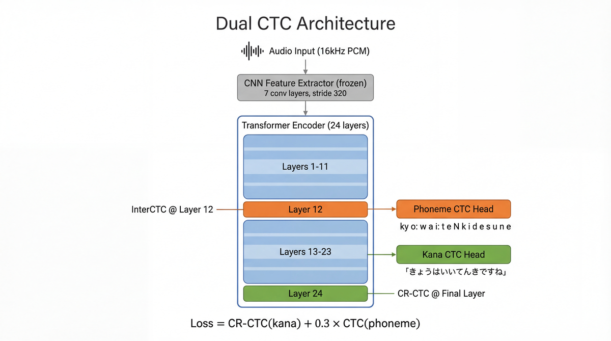 Dual CTCアーキテクチャ — wav2vec2エンコーダの中間層(Layer 12)で音素を、最終層(Layer 24)でひらがなを同時予測する